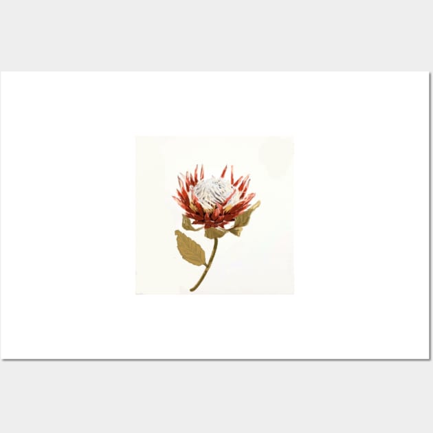 Protea - Still Life - Botanical Art Wall Art by Krusty